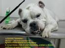 Fotos de Agroveterinaria Maceo