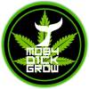 Fotos de Grow Shop Metro Tobalaba Providencia Moby Dick Grow