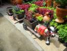 Fotos de Vivero Florisanto