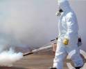Foto 3 de Fumigaciones Eleazar F.p