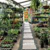 Fotos de Vivero La Tinaja