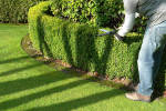 Photos of Essential Landscaping