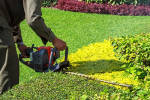 Photo 2 of Essential Landscaping