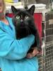 Photos of Chippawa Animal Hospital