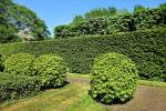 Photos of Tree Services Calgary Pros