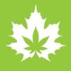 Photos of The House Of Cannabis