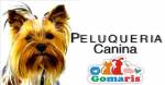 Fotos de Gomaris Peluquería Canina, Concentrados Y Accesorios.
