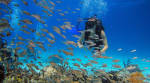 Fotos de Aquaworld Cancun