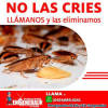 Foto 4 de Fumigaciones Eleazar F.p