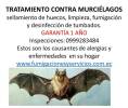 Fotos de Fumigaciones & Servicios