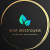 Photos of Mint Electrolysis