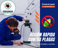 Fotos de Servicios Contables - Outsourcing Contable