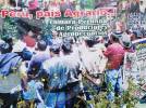 Foto 3 de Proal - Cámara Peruana De Productores Agropecuarios