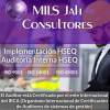 Foto 5 de Mils Jah Consultores