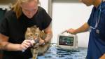 Photo 3 of West Springs Veterinary Hospital