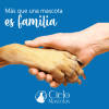 Fotos de Funeraria Para Mascotas Cielo De Mascotas