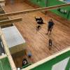 Photos of Dogs Tail Inc.