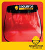 Foto 3 de Segurfor