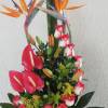 Foto 3 de Floristeria Acuarium