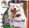 Foto 3 de World Pet Grooming