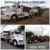 Fotos de Gruas Delgado