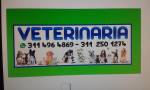 Fotos de Veterinaria Nacer