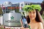 Foto 4 de Morinda Tahitian Noni