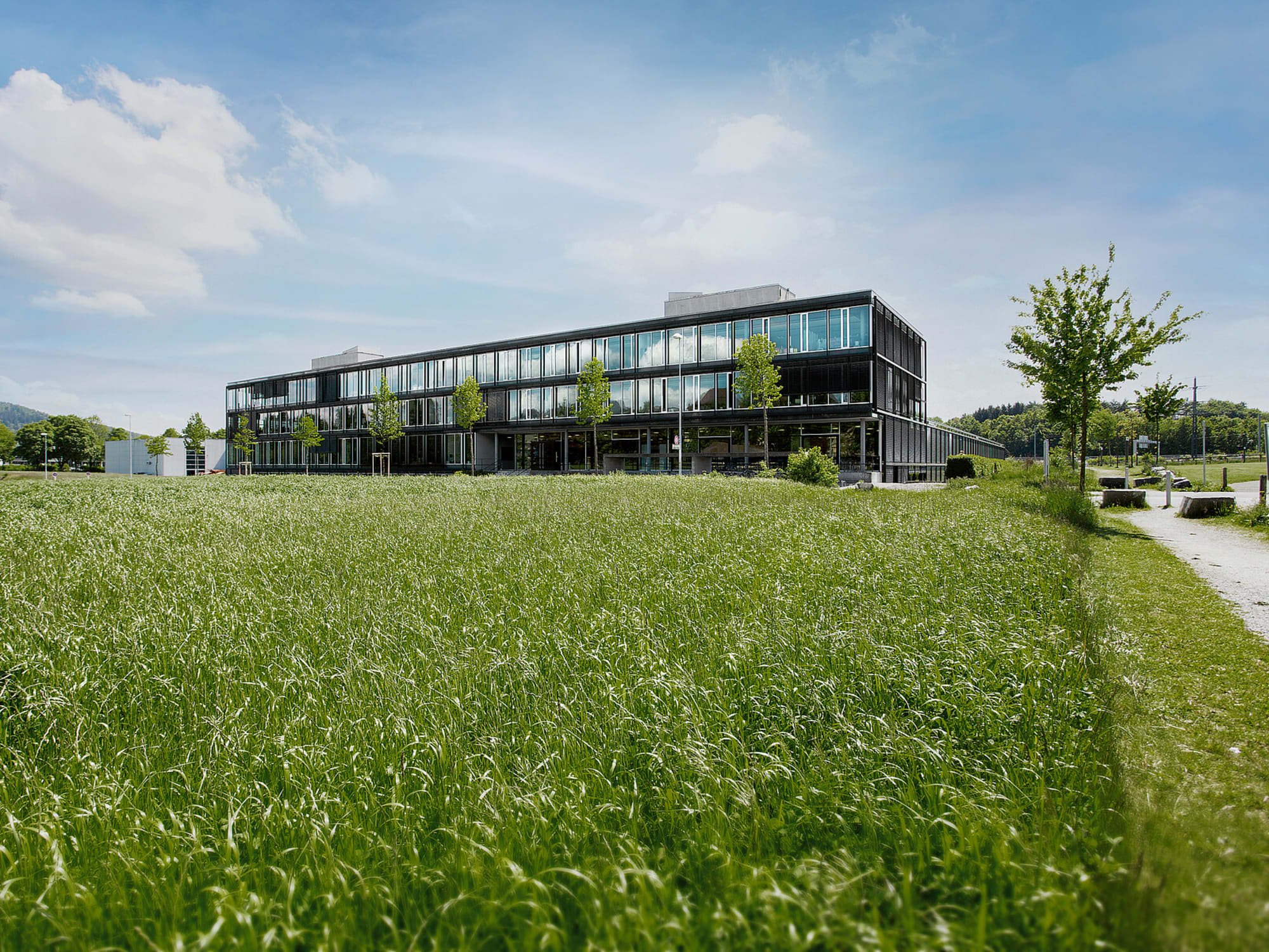 Stämpfli Kommunikation: Wenn der IT-Partner aussteigt