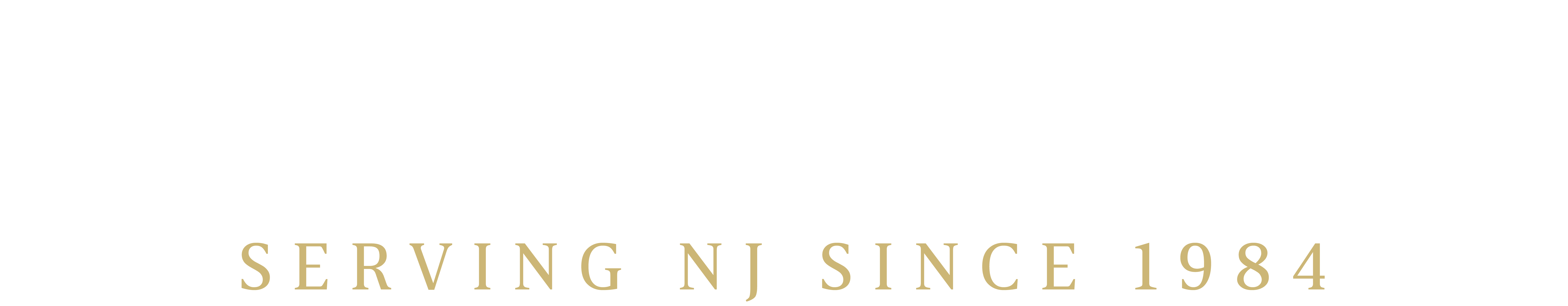 Bramnick Logo