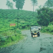 wayanad3