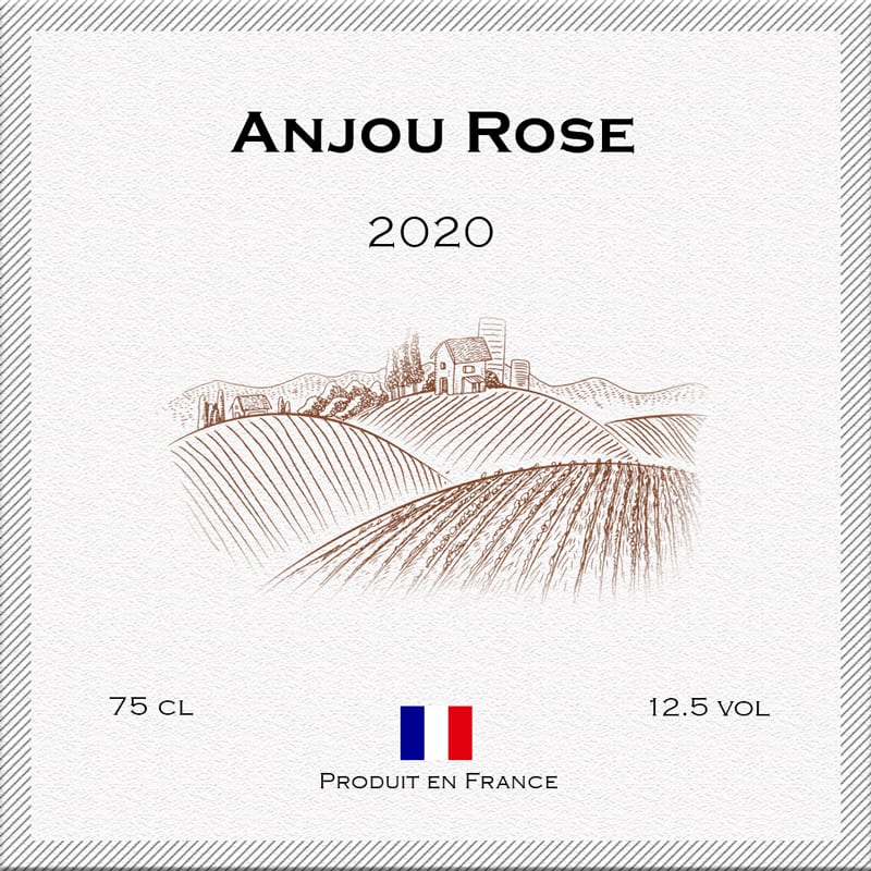Anjou Rose