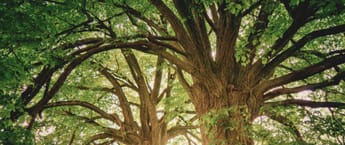 Nachhaltigkeit bei DP World