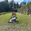 WWII Battle of Kohima & Garrison Hill