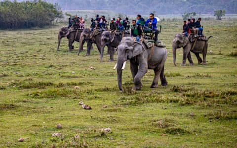 Elephant Safari in Central Range