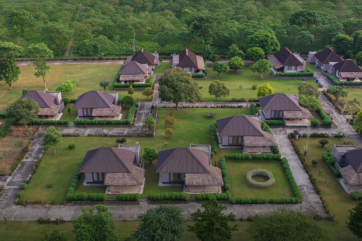 Panoramic drone capture of Musa Jungle Retreat standalone cottages, lawn gardens, and surrounding tea estate.