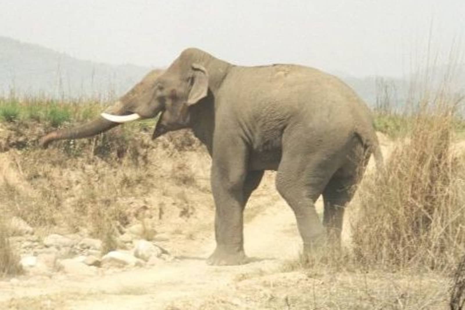 Nameri National Park