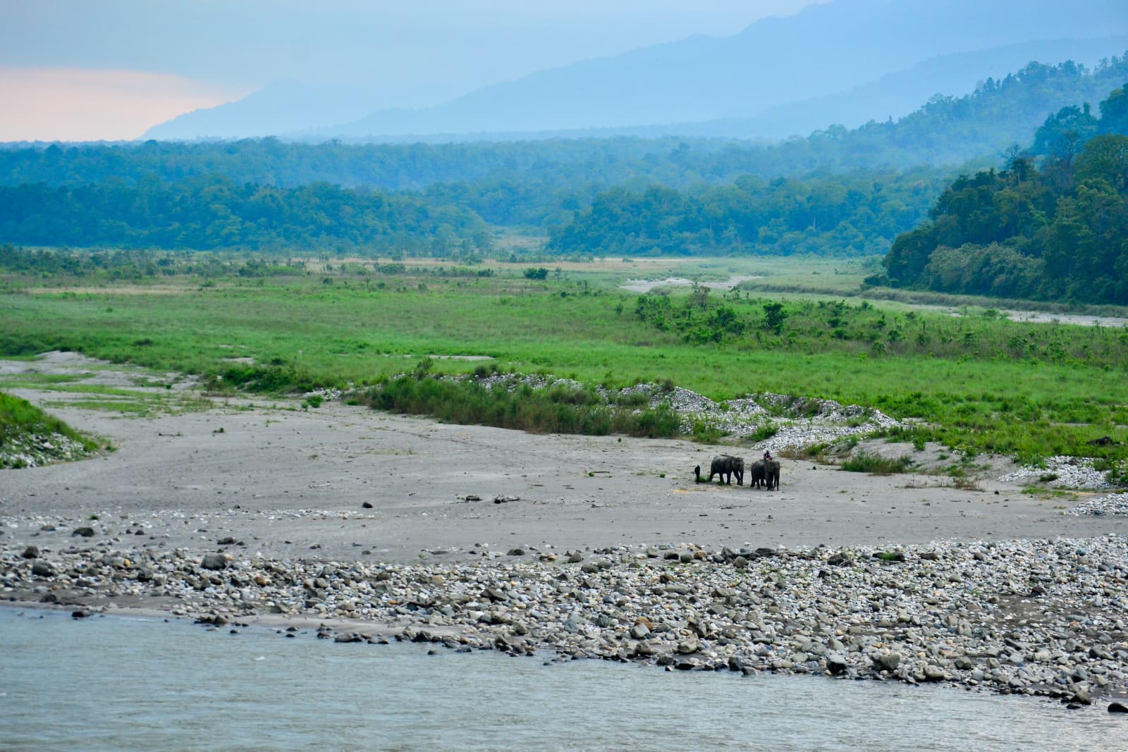 Manas National Park