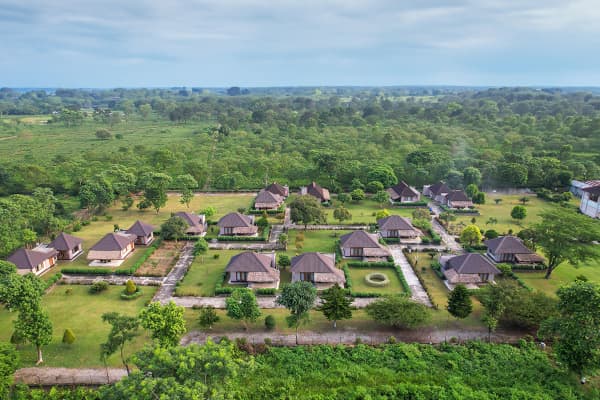 Aerial perspective of Musa Jungle Retreat cottage bungalows surrounded by landscaped gardens and tea plantations.