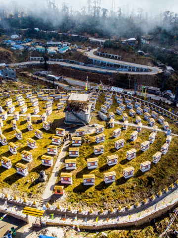 Agricultural terraces and pine-forested slopes overlooking mountain valleys of West Kameng