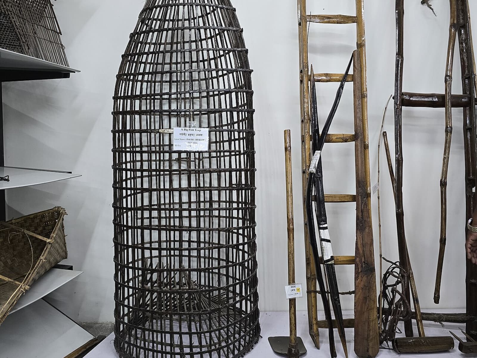 Tall conical bamboo fish trap standing beside a wooden ladder in an ethnological museum display
