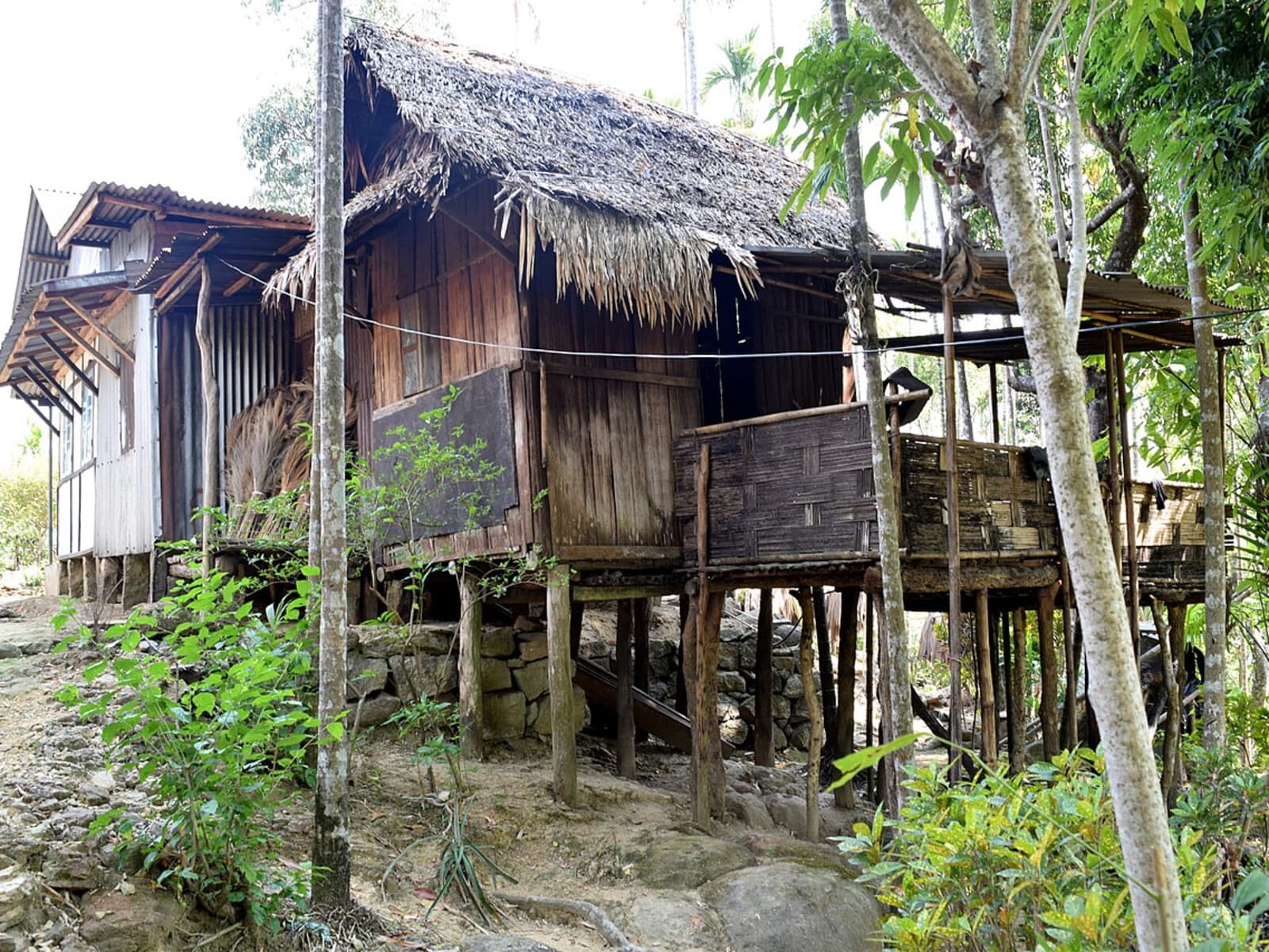 Traditional Khasi bamboo stilt house with thatched roof wall panels and surrounding betel nut palm grove.