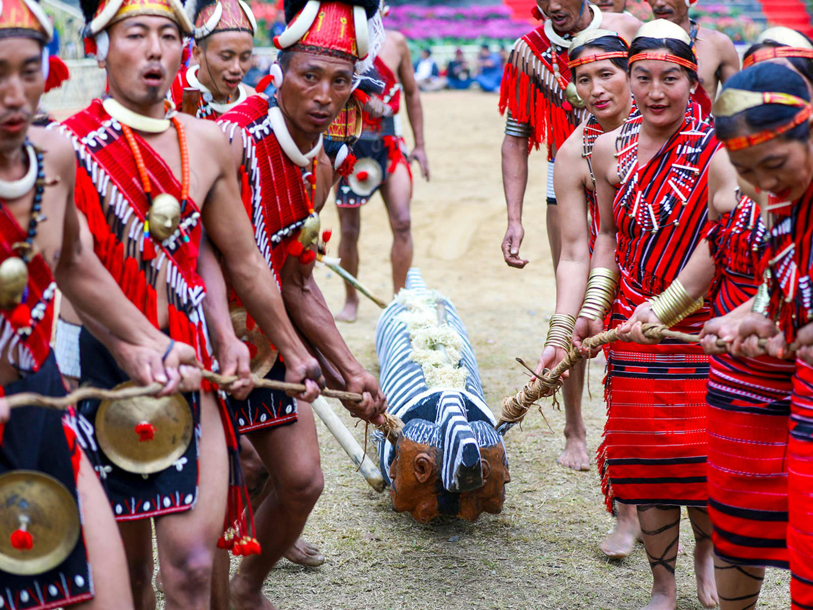 Traditional Naga warriors in hornbill feather headdresses performing cultural rituals at Kisama Heritage Village near Kohima