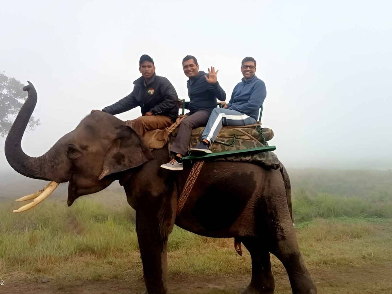 Tourists waving from tusked safari elephant during early morning ride in Kaziranga