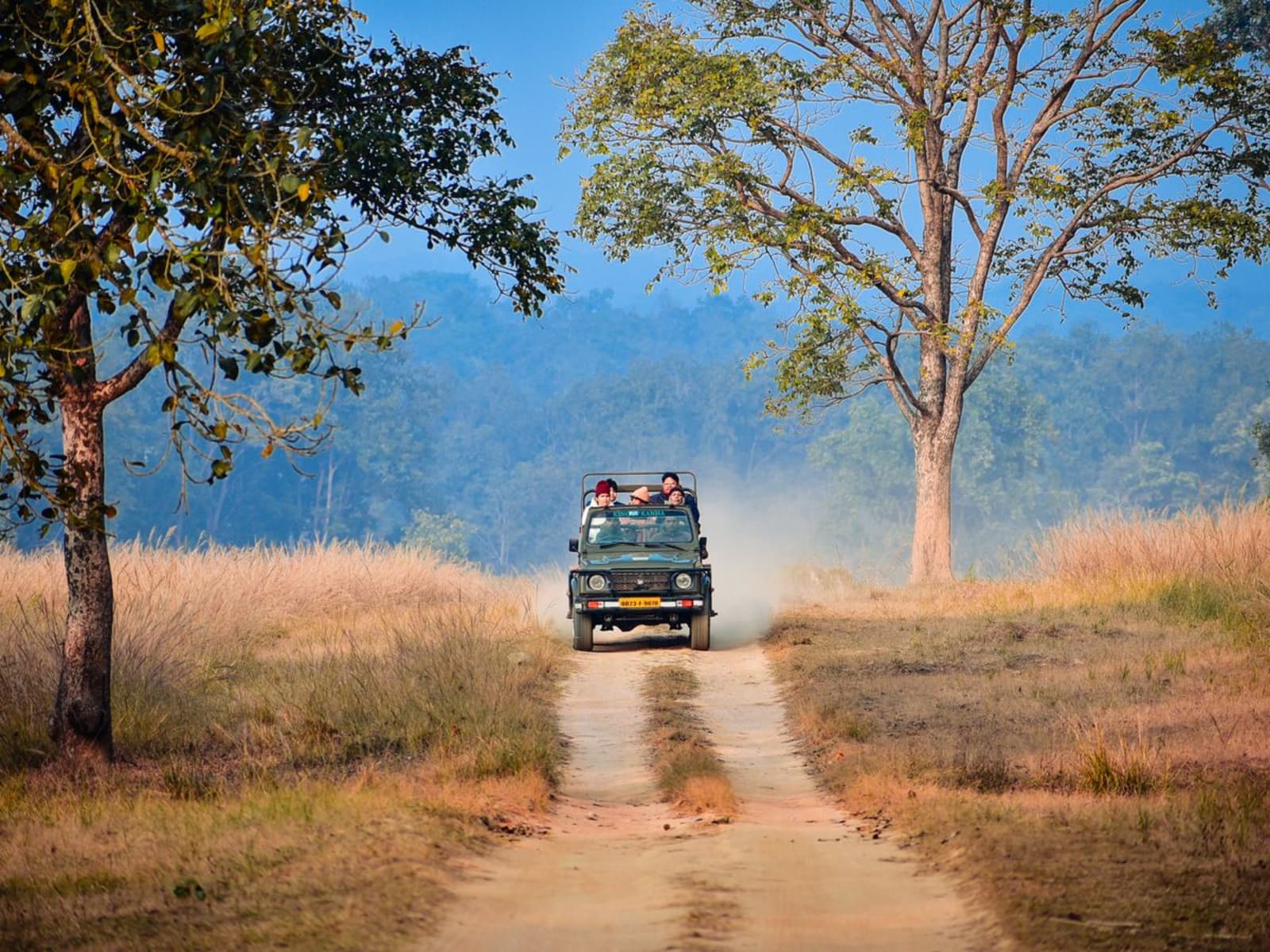 Tourists in an open four-wheel-drive safari vehicle driving along a dirt road lined with tall dry grasses.