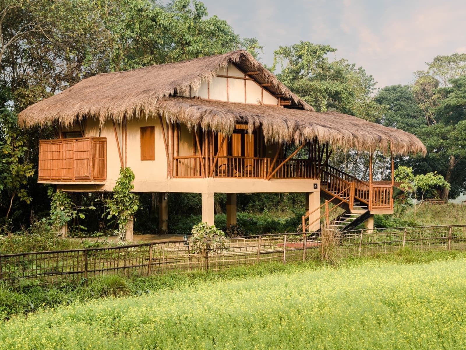 Stilted thatch-roof wooden cottage at Diphlu River Lodge surrounded by mustard crop fields in Kaziranga Assam.