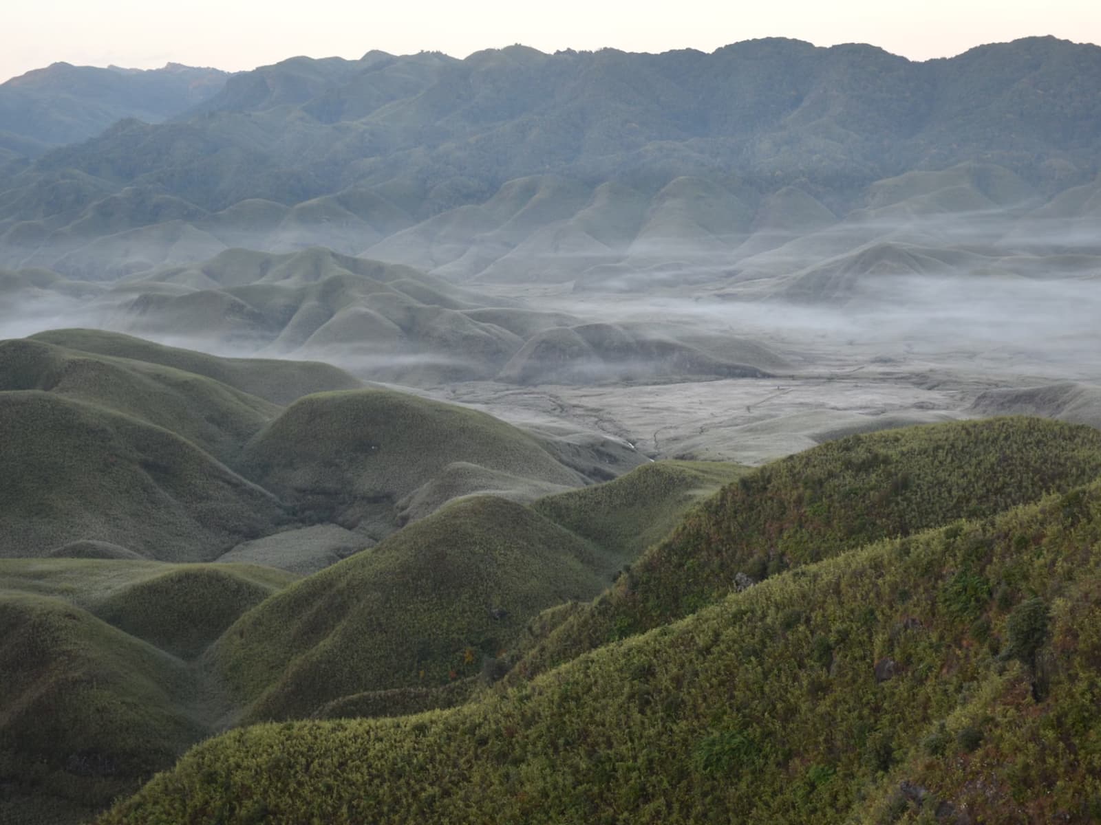 Panoramic view of undulating dwarf bamboo carpeted hills and green valleys in Dzukou Valley Nagaland