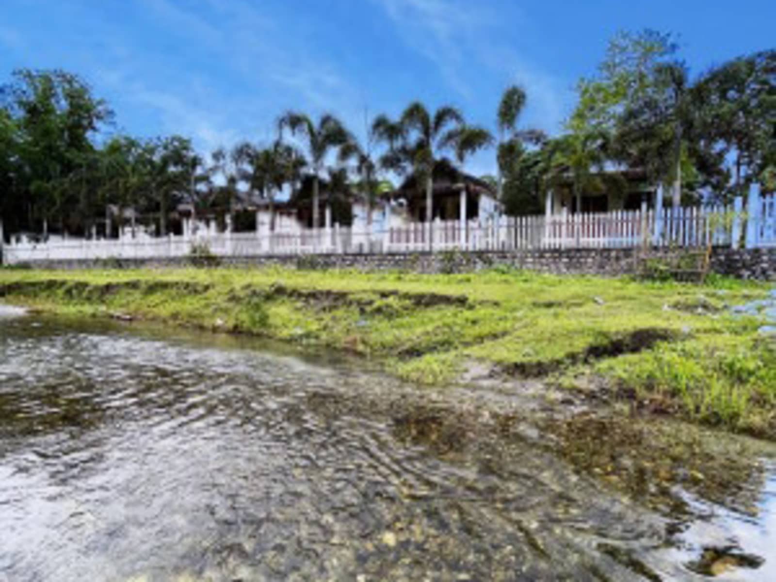 Forested riverbank and stone steps leading to a shallow pebble stream at Manas Jungle Retreat