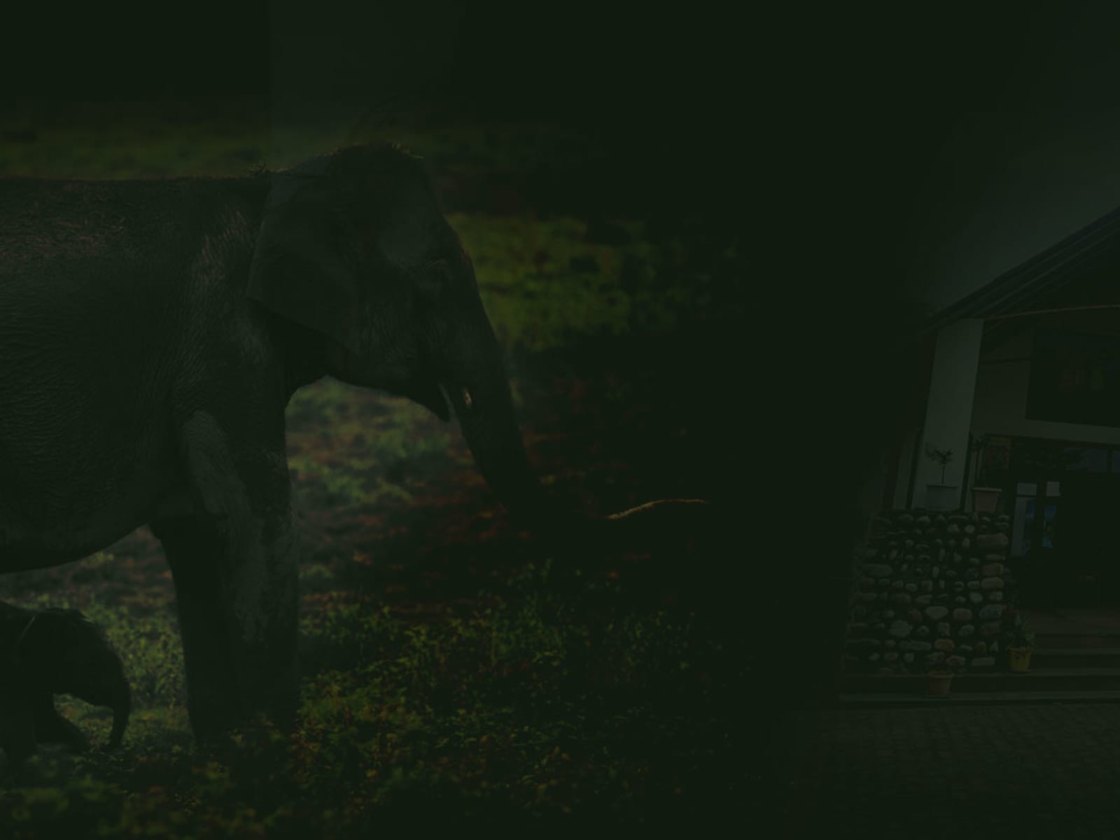 Resort entrance portico with stone masonry pillars alongside wild elephant mother and calf in forest buffer.