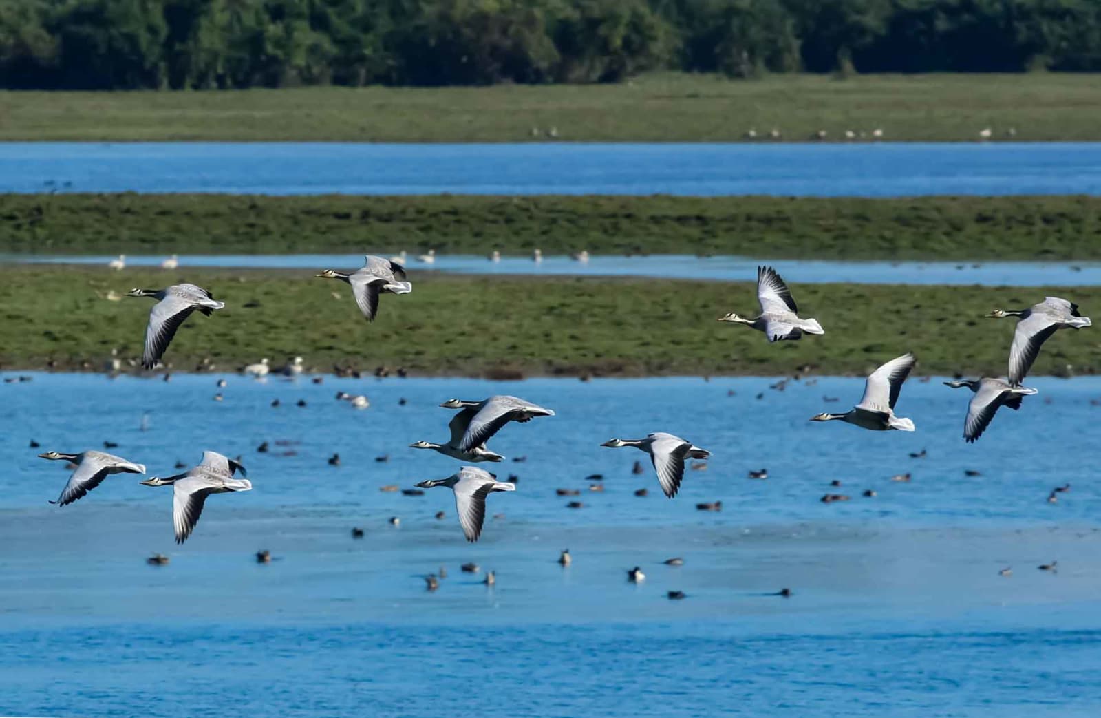 Scenic Kaziranga & Bokakhat administrative region landscape, Assam