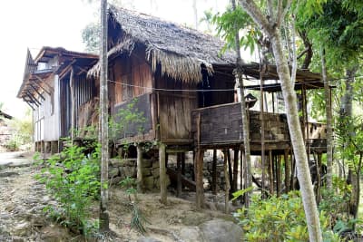 Traditional Khasi bamboo stilt house with thatched roof wall panels and surrounding betel nut palm grove.